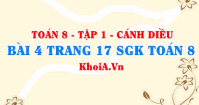 Bài 4 trang 17 SGK Toán 8 tập 1 Cánh Diều